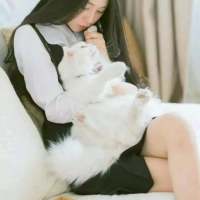 晚上会失眠，白天又很