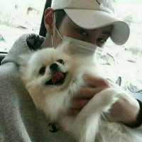 怜取眼前人 慢慢的忍受着你给的伤