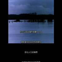 我这么可爱是不是你的