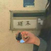 雪伴随忧愁散落一地，