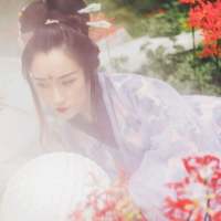 王喜猫 再转身，去欣赏别的风