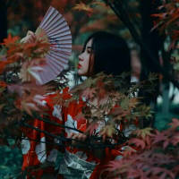 “寒夜剩我一个人，等清晨。”... 喜欢你，但害怕 人死