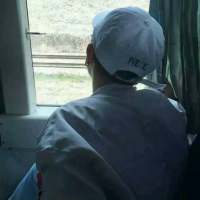 自爱沉稳 而后爱人 若爱长成了刺 思念变