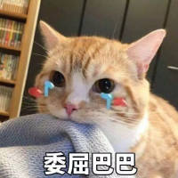 被人记着真好 她或许
