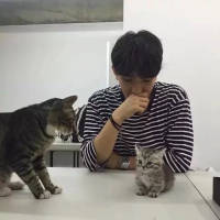 纯粹的东西总是死的太
