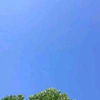 很杂的朋友圈背景图 我相信爱情，但不相信