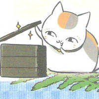 猫咪老师 不要总是做一些道德式