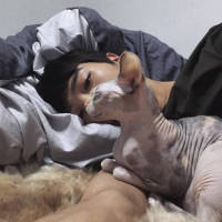 他喜欢猫也喜欢狗就是不喜欢你 值不值得我不懂，可是