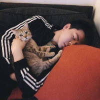 他喜欢猫也喜欢狗就是不喜欢你 值不值得我不懂，可是