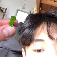 烦 我想，就算你没有在我