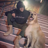 由数字守望的一隅，默