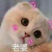 饮酒不过七分醉，念你