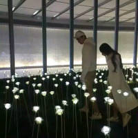 你对我笑. 蹲下身，让淤积的池水