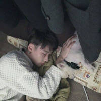 他喜欢猫也喜欢狗就是不喜欢你 值不值得我不懂，可是