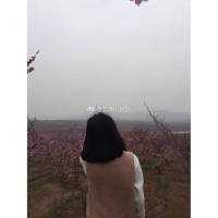 对于感情自己开心就好 摇啊摇，摇到奈何桥。
