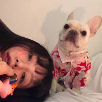 就散了吧 拉拉扯扯终究是没完没了