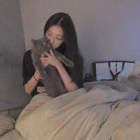 ?    女头.总有一个是你想要的 你喜欢的 并不总是也