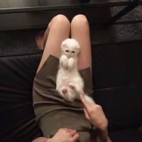 我们并不害怕六月的中