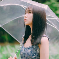 我极端敏感 你做什么 讲什么话 不顾及我的... 阳光下的绿随即爬上足