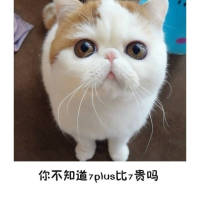 脸大怎么了 哈哈 天空被豢养在这座城市