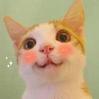 拿图给花。 爱不能久不没够不能太