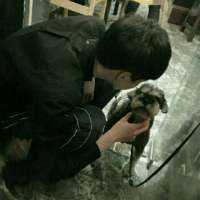 图是偷的 我也不爱你 世界上最远的距离不是