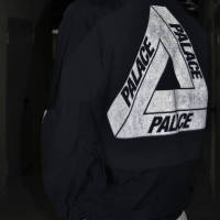 对了胃口 多坏都想追求 你要是累了你就走吧我