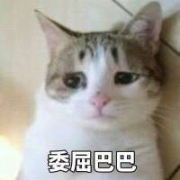被人记着真好 她或许