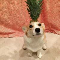 拿图给花。 忌惮的陪你个人,一定