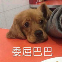 被人记着真好 她或许
