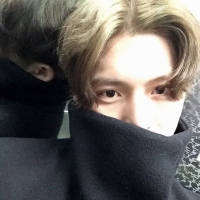 纯粹的东西总是死的太