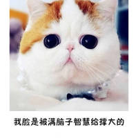 脸大怎么了 哈哈 天空被豢养在这座城市