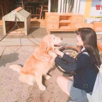 眼泪终究汇不成海洋  人总要自己学会成长 我还喜欢你，一如既往