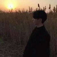 一见如故的爱上了你，