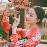 古风：入画浅相思 我的生命，你匆匆来过