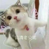饮酒不过七分醉，念你