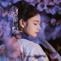 十里长街 我喜欢春天的花，夏天