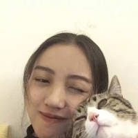 没有什么比林子里碎落