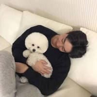 他喜欢猫也喜欢狗就是不喜欢你 值不值得我不懂，可是