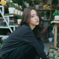 与君初相识犹如故人归 多年以后，我不小心哼