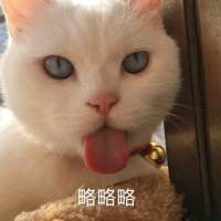 隔壁家的二萌。 被动的坚强着，接受着