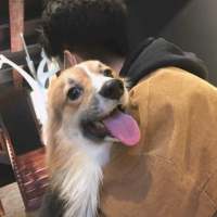 我们曾迫不及待的一步