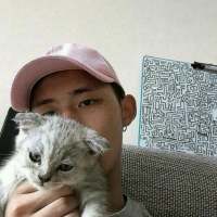 喜欢猫的男孩。 触及不到你的温柔，怎