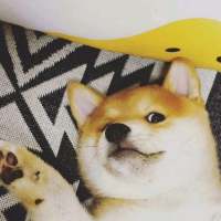 “再喜欢也不要旧情复燃，旧情复燃的结果就... 失望是不可避免的，但