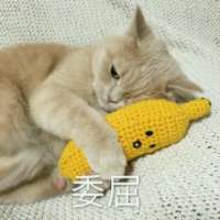 别让我听到你又爱上谁 我都快忘了曾经的那个