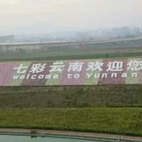 你哦了之后我就没打算