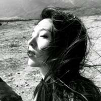 既然来了 磕个头再走吧. 真想在电影里过日子，