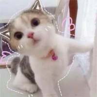 拿图给花。 千山万水就当它是伏笔