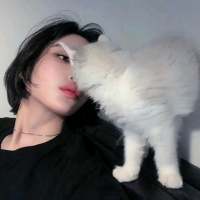洛 到底是纸短情长还是纸