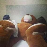 我的猫很皮，可不可以帮我管它…… 在一个日子里，天慢慢